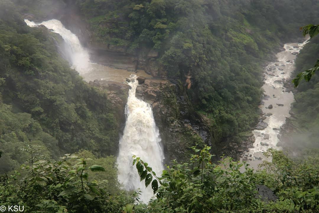 A foggy afternoon at Magod Falls Magod Falls is a group of waterfalls ...